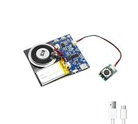 XLW Modulo - Modulo audio attivato a pulsante da 16 MB con altoparlante, cavo di tipo C e facile capacità di registrazione, 16 minuti per saluti personalizzati, progetti fai da te e artigianato