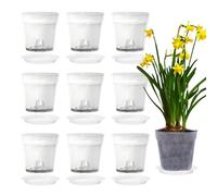 Xmart 10 Pezzi 11,5cm Vaso per Orchidee Trasparente con Fori e 10 Sottovasi Vasi per Orchidee Trasparenti Vaso per Orchidea Vasi per Piante Plastica per Interni ed Esterni Giardino Balcone