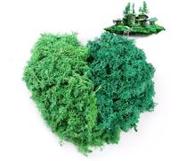 Xmart Muschio Stabilizzato 200g Muschio per Presepio 2 Couleurs Muschio Finto Decorazione Domestica Fai da Te Riempimento del Vetro per Modellismo Verde Chiaro + Verde Scuro