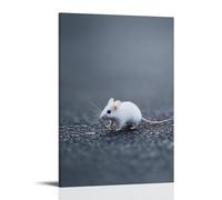 XMHMYHZJ Poster artistico da appendere con un topo bianco in punta di piedi attraverso un campo grigio acciaio, il suo movimento delicato e quasi invisibile al mondo minimalista. Decorazione artistica