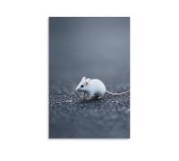 XMHMYHZJ Poster artistico da appendere con un topo bianco in punta di piedi attraverso un campo grigio acciaio, il suo movimento delicato e quasi invisibile al mondo minimalista. Decorazione artistica