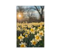 XMHMYHZJ Poster con fiori per Parco naturale di Narciso sotto il sole, decorazione artistica da parete, decorazione moderna da appendere, 40 x 60 cm