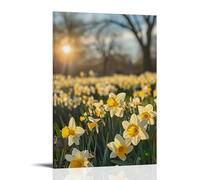 XMHMYHZJ Poster con fiori per Parco naturale di Narciso sotto il sole, decorazione artistica da parete, decorazione moderna da appendere, 30 x 45 cm