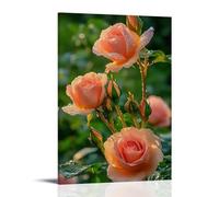 XMHMYHZJ Poster con fiori per un giardino con gocce d'acqua su di loro, decorazione moderna da appendere, poster artistico da appendere, 40 x 60 cm
