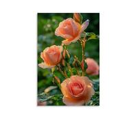 XMHMYHZJ Poster con fiori per un giardino con gocce d'acqua su di loro, decorazione moderna da appendere, poster artistico da appendere, 40 x 60 cm