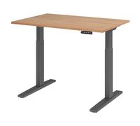 XMKA 12 G | Scrivania 120x80 regolabile in altezza elettrico Noce