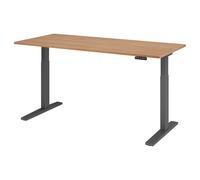 XMKA 19 G | Scrivania 180x80 regolabile in altezza elettrico Noce