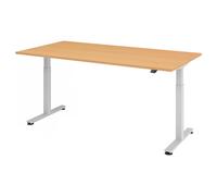 XMST 2E S | Scrivania - Faggio 200x100 regolabile in altezza elettrico