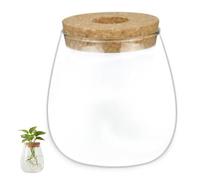 Xoeryoy Vasi per la propagazione delle Piante, Vaso per terrario in Vetro Trasparente con Tappo in Legno per la Coltura, Decorazioni per casa Creative e Stazione per propagazione delle