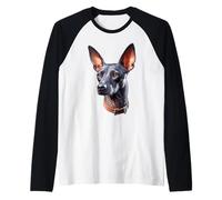 Xoloitzcuintli Cane x Chihuahua Senza Pelo Messicano Maglia con Maniche Raglan