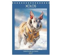 Xolos. Seelenhunde aus Mexiko (Tischkalender 2027 DIN A5 hoch), CALVENDO Monatskalender: Der Xoloitzcuintle als eleganter und sensibler Begleiter mit jahrtausendealter Geschichte