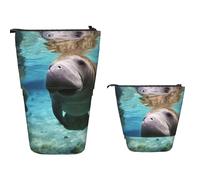 XOPEKVLAWM Astuccio in piedi Grande Capacità Stand Up Pencil Pouch Carino Telescopico Matita Sacchetto Pop Up Matite Holder Giallo Limone Penna Titolare Portatile Trucco Borsa Organizzatore da