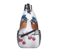 XOPEKVLAWM Borsa a tracolla a tracolla con mongolfiera che vola sopra il tetto Borsa a tracolla Borsa a tracolla Borsa a tracolla Viaggi Escursionismo Daypack, Uccello invernale sul ramo, Taglia unica