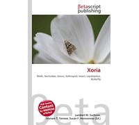 Xoria: Moth, Noctuidae, Genus, Arthropod, Insect, Lepidoptera, Butterfly