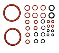 XPEX 30 pezzi Guarnizione della Macchina del caffè Guarnizione O-Ring Kit di Manutenzione compatibile con Phillips Saeco Spidem Gaggia