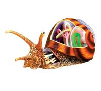 XRNWOHISB Modello anatomico di lumache 4D Vision, modello anatomico di animali, giocattolo di assemblaggio di puzzle di simulazione di lumache, 32 corpi e parti staccabili del modello