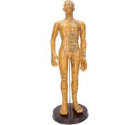 XRNWOHISB Modello di agopuntura del Corpo Umano, Modello di Punti di Pressione e meridiani Maschili e Femminili da 52 cm, manichino di agopuntura della Medicina Tradizionale Cinese(Male)
