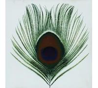 Xtc - Apple Venus / Vol.1