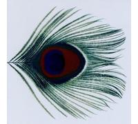 Xtc - Apple Venus Volume 1