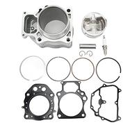 XTevu Kit pistone cilindro, set guarnizioni anello 14 pezzi 12100-HP7-A00, kit di ricostruzione motore, compatibile con Rancher TRX420 2007-2018, gruppo cilindro ATV Top End