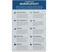 XTVVTODJXT 10 Principles of Neuroplasticity Poster Brain Science Educational Psychology Wall-Art Canvas Living Room Bedroom Decor(Unframed,12x18inch(30x45cm))