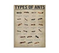 XTVVTODJXT Ant Species Learning Poster - Types of Ants Educational Chart Canvas Art for Room(Framed,08x12inch(20x30cm))