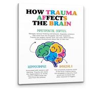 XTVVTODJXT Mental Health Wall-Art How Trauma Affects the Brain Affirmations Print for Social Worker Therapist Office Decor(Framed,16x24inch(40x60cm))