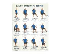 XTVVTODJXT Senior Balance and Stability Exercises Fall Prevention Workout Guide Canvas Wall-Art for Physical Room(Framed,08x12inch(20x30cm))