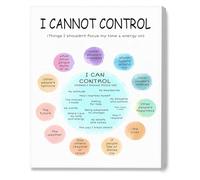 XTVVTODJXT Things I Can and Cannot Control Poster Mental Health Art for Office School(Unframed,12x18inch(30x45cm))
