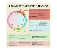 XTVVTODJXT Womens Health Education Poster Hormone Cycle Menstrual Chart for Science Class Study Wall-Art(Unframed,16x16inch(40x40cm))