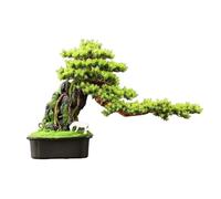 XUEQIZHENG Piante artificiali da interno, Albero bonsai artificiale con vaso quadrato in ceramica, pianta ornamentale for soggiorno, ingresso, mobile TV