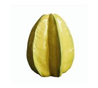 XUEQIZHENG Vaso di Fiori, Vaso in Ceramica a Bocca Stretta a Forma di Carambola Dipinto a Mano, portafiori for la Decorazione del Soggiorno