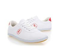 XUHCLY Scarpe da Allenamento Taichi Cinesi, Scarpe Tai Chi, Arti Marziali Tradizionali Kungfu Ginnastica Sneakers Unisex Scarpe Casual Scarpe di Tela con Suola Morbida(Size:43 EU,Color:White)