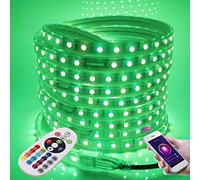 XUNATA Striscia LED RGB 220V, Nastro LED Impermeabile e Flessibile con telecomando a 24 tasti e Controller WiFi, Applicazione Smart Life, lavora con Alex SmartThing Assistente Google (60LEDs/m, 1m)