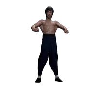 XUNJIE Per Li Xiao Long Modello Di Personaggio, Statuetta Anime Da Collezione, Statuetta Di Personaggi, Per Bambini Dai 14 Anni in Su