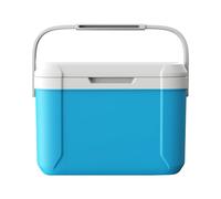 XUQEAYWD Mini refrigeratore per ghiaccio, 29 x 20 x 21 cm, portatile con coperchio e manico, contenitore frigo passivo mobile con isolamento in schiuma PU, Cooler Box per barbecue, campeggio, picnic e