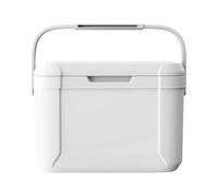 XUQEAYWD Mini refrigeratore per ghiaccio, 29 x 20 x 21 cm, portatile con coperchio e manico, contenitore frigo passivo mobile con isolamento in schiuma PU, Cooler Box per barbecue, campeggio, picnic e