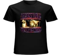 XUTSE Men's T Shirt Temple of The Dog Twin Needle Sleeves And Hem Black XL