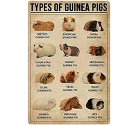XVBCDFG Segni della conoscenza Guinea Pigs Knowledge Metal Tin Sign Tipi di porcellini d'India Poster in metallo fattoria Negozio di animali domestici Camera Cucina Casa Arte Decorazione da parete