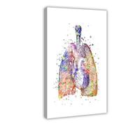 XVHOGAS Stampa artistica su tela con stampa di polmoni e cuore, anatomia, arte medica, decorazione per camera da letto, ufficio, camera da letto, regalo, 20 x 30 cm