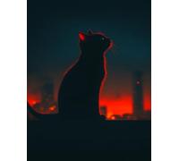 XvvwEndlessx 11CT Kit Punto Croce Prestampato Ricamo Starter Kit Gatto Al Chiaro Di Luna In Città 2 DIY Decorazione Domestica Set Da Ricamo Per Principianti, Adulti E Bambini 40×50Cm