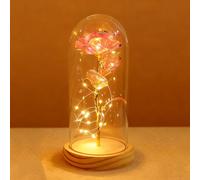 XVZ La bella e la bestia eterna rosa - regalo floreale per donne, rosa sotto campana di vetro con LED e supporto in legno per mamma, moglie o fidanzata a Natale, San Valentino - polvere colorata