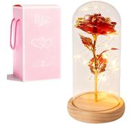 XVZ La bella e la bestia eterna rosa - regalo floreale per donne, rosa sotto campana di vetro con LED e supporto in legno per mamma, moglie o fidanzata per Natale, San Valentino, rosso colorato
