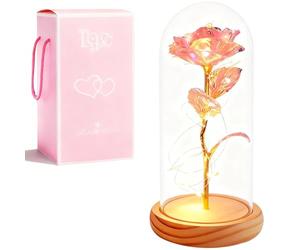 XVZ La Bella e la Bestia Rosa Eterna - Regalo di Fiori per Donne, Rosa Sotto Cupola di Vetro con LED e Supporto in Legno per Madre, Moglie o Amica per Natale, San Valentino - Polvere Colorata