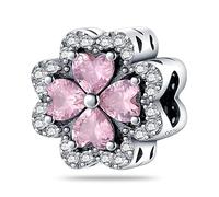 XWN Ciondolo Argento Sterling 925 con Cubic Zirconia Pendenti per Pandora Braccialetti, Compatibile con Braccialetti e Collane europei, perfetto Regali per Moglie e Ragazze