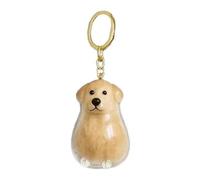 XWNGDAFEVF 3Pcs Keychain for Collecting Dog Hair Transparent Storage Cute Puppy Pendant Fur Keepsake for Pet Lover Collector Gift, N