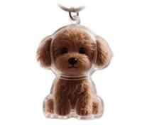 XWNGDAFEVF 3Pcs Transparent Storage Cute Puppy Pendant Fur Keepsake Keychain for Collecting Dog Hair,Pet Lover Collector Gift -Together Forever(3pcs, K)