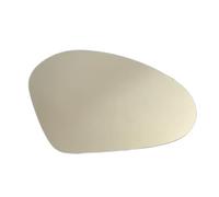 XWVROEQCQ Compatibile con Seat per Ibiza 2002 2003 2004 2005 2006 2007 2008 2009 Specchietto Retrovisore Riscaldato per Auto 1M1857521A 1M1857522A Vetro Specchietto(Right)
