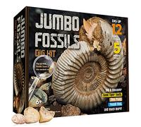 XX XXTOYS - Jumbo Pietre fossili Kit Gioco per Bambini Scavi e Scoperte archeologiche Kit didattici scientifici