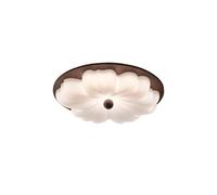 XXAD553TY Balcone Lampade decorative moderne semplici e creative for l'illuminazione di interni, lampade da soffitto